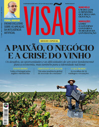 capa de Visão